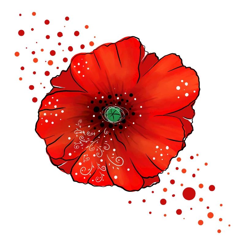 Art du pavot coquelicot