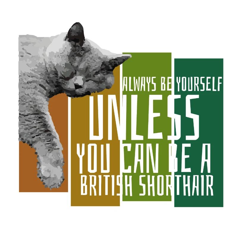 Brit Shorthair Kitten Kitty Gift