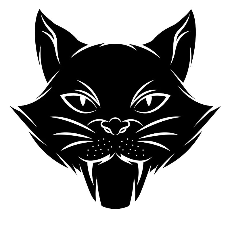 Chat chaton miaou chat domestique oeil de chat
