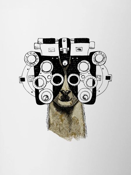 Alpaca&Phoropter