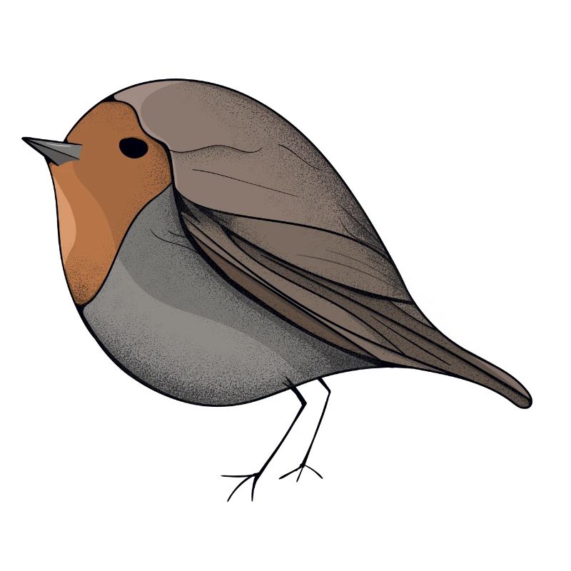 oiseau