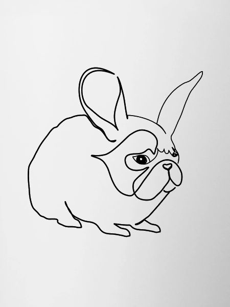 Hare or pug
