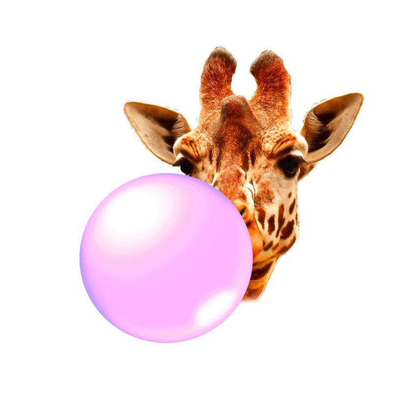 Girafe Avec chewing-gum