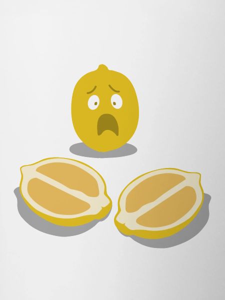 Sorgenlemon lemon character