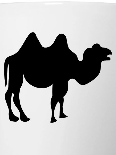 Camel design