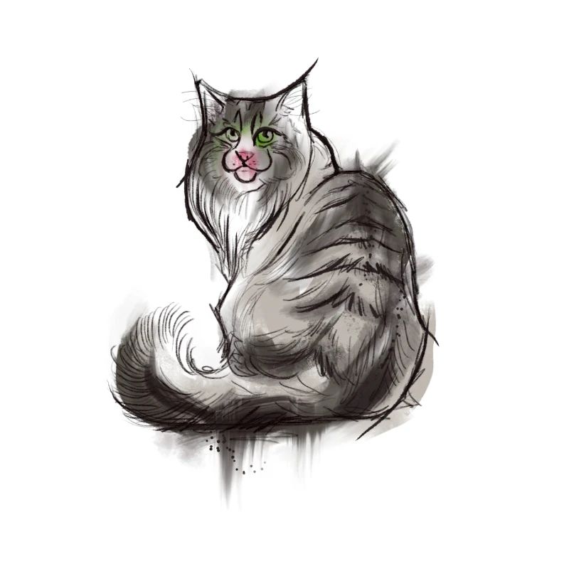 Chat des forêts norvégiennes