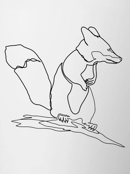 Fuchs Eichhörnchen Squirrel Fox