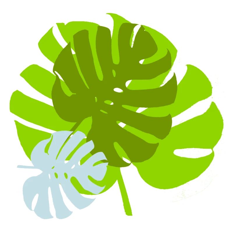 Feuillage Tropical Vert Nature Sauvage