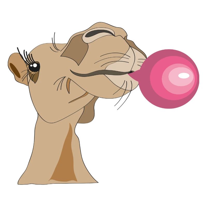 Chameau avec chewing-gum