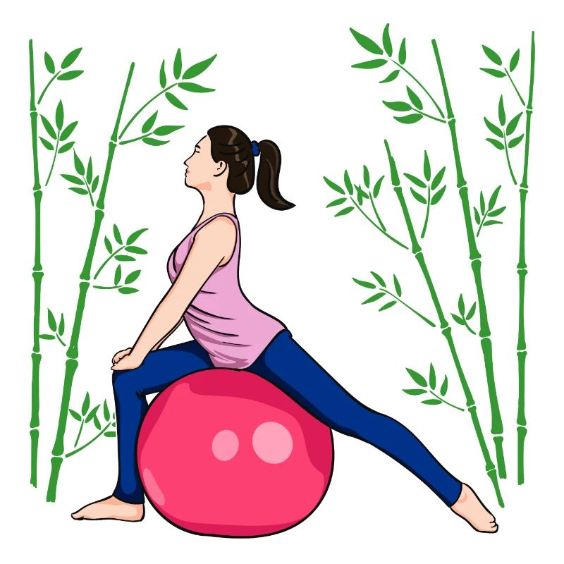 Pilates Exercise Fitness Workout Workout