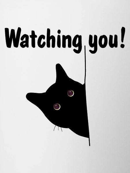 Black cat is watching you!