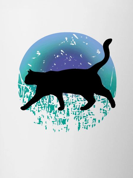Black cat