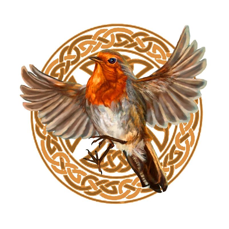 oiseau Rouge-gorge