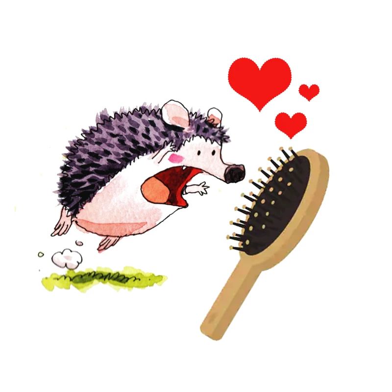 Igel Liebt Kamm - Muttertag und Valentinstag