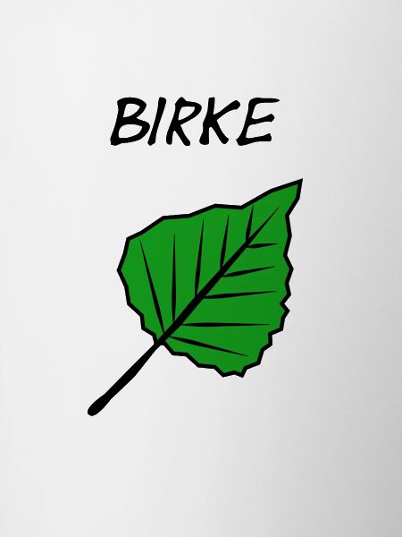 birch