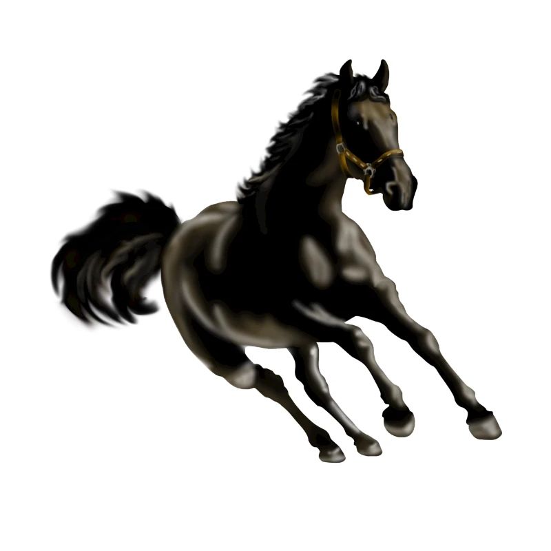 cheval