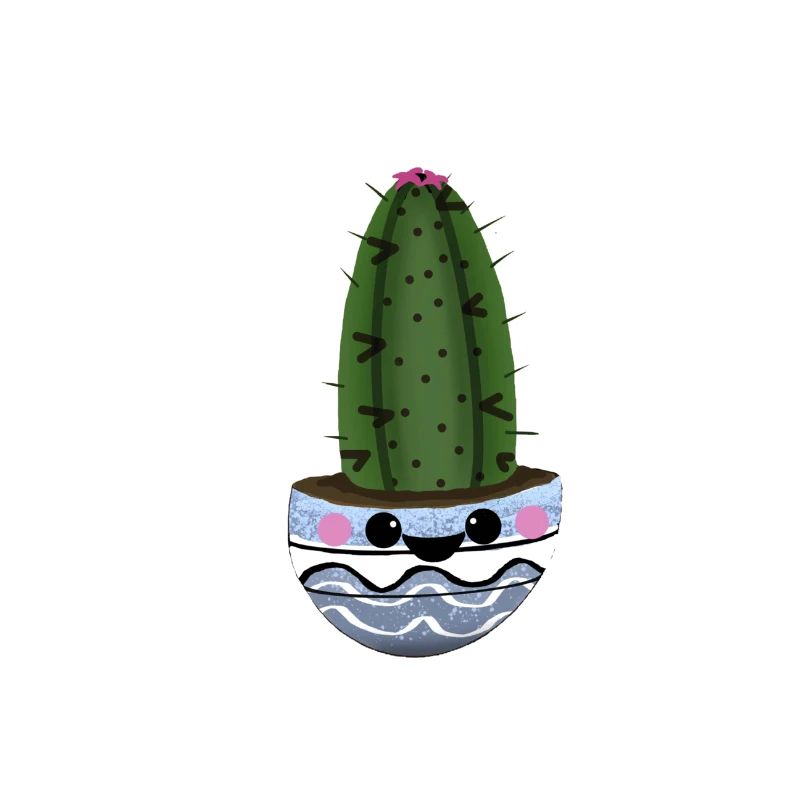 MIGNON PINCUSHION CACTUS POT