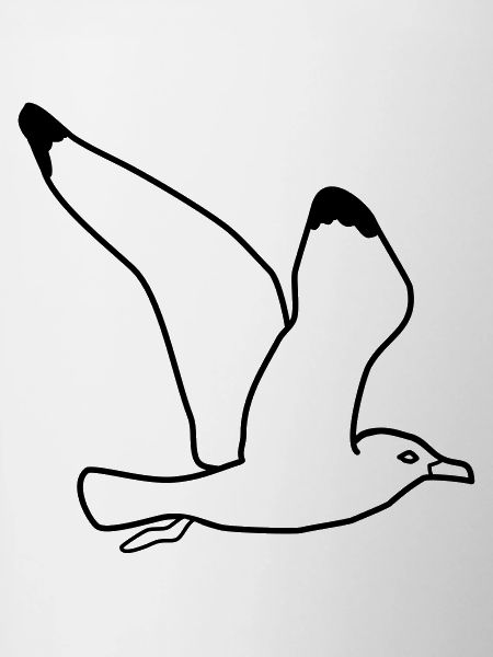 gull