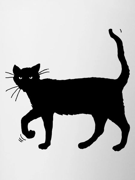 Black cat
