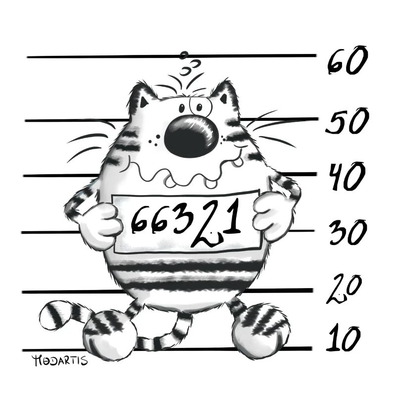 Cat in jail