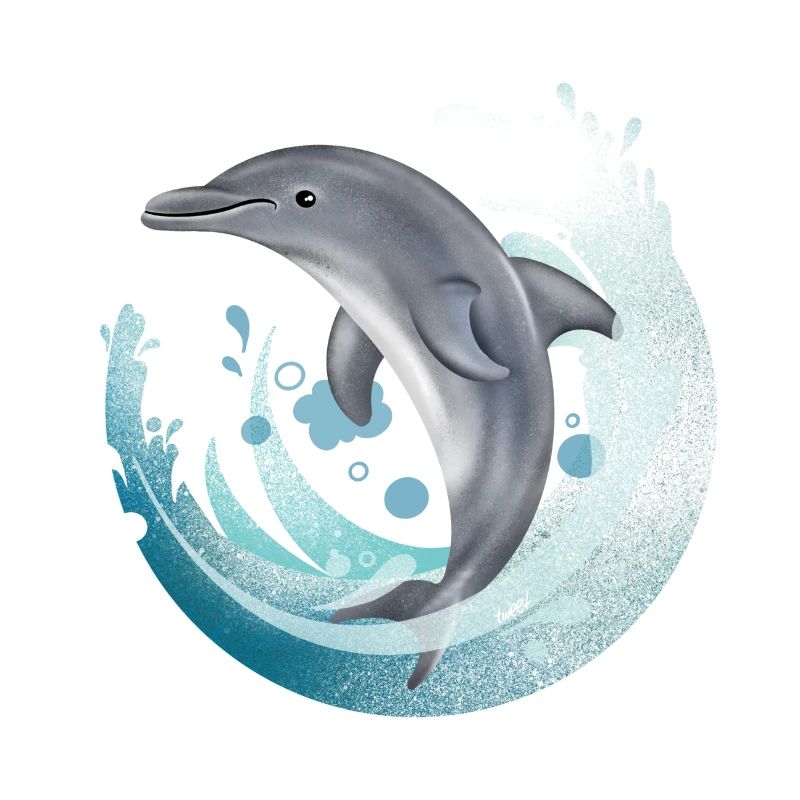 Tauch Dive Dolphin - Delfin