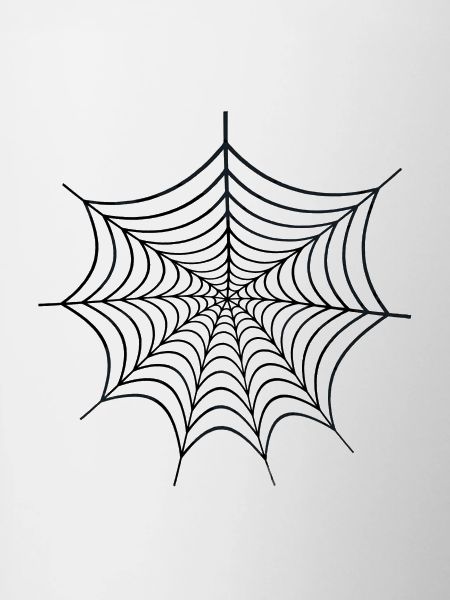 Spinnenweb Netzdesign