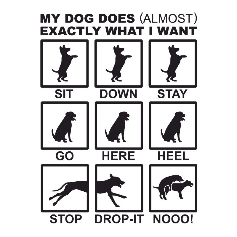Ordres de chien