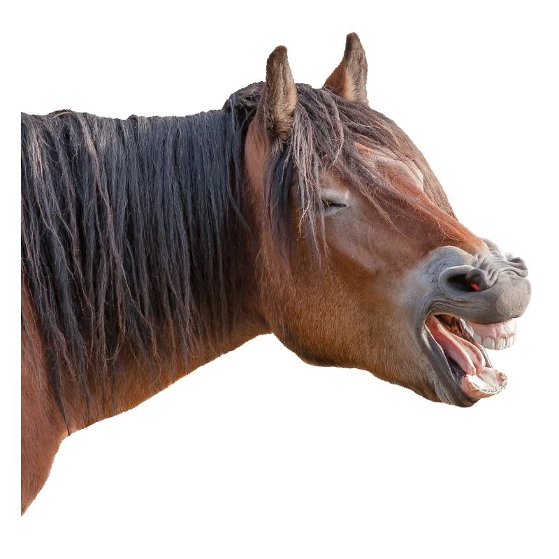 Lachen