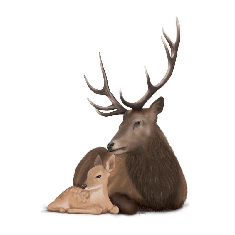 Papa Cerf et son faon