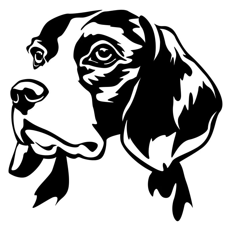 Tête de Beagle