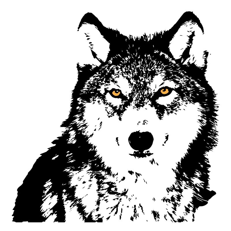 Black Wolf Eyes