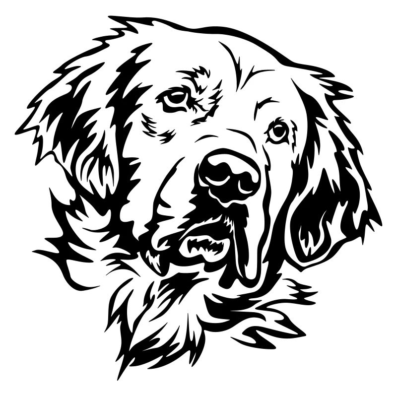 Golden Retriever Kopf