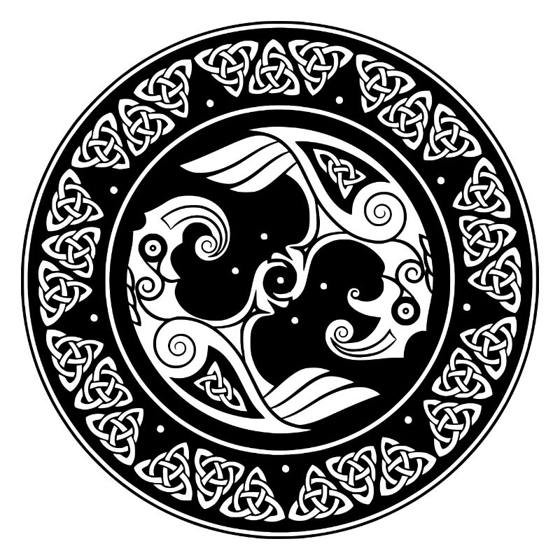 Vikings