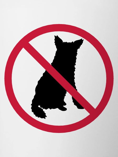 Dogs Forbidden Shield