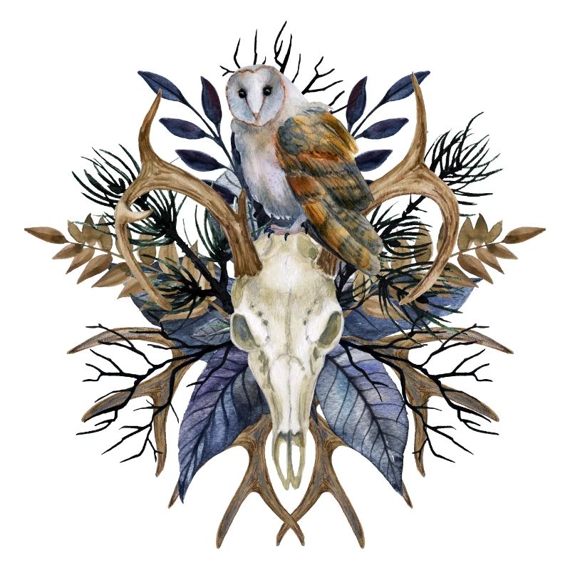 Eulen Schädel Blumen Mystisches Design