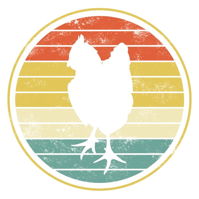 Chicken chickens