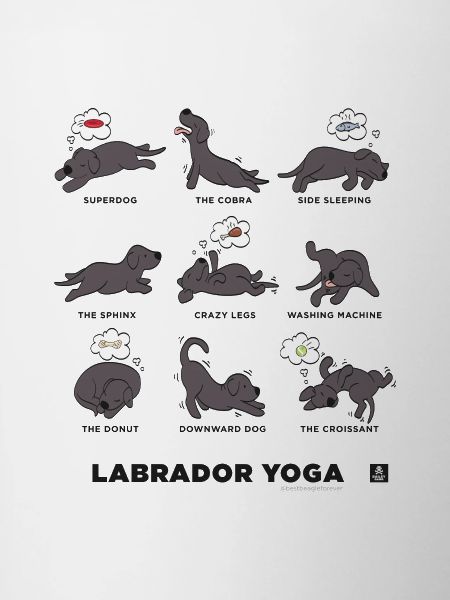 LABRADOR YOGA BLACK