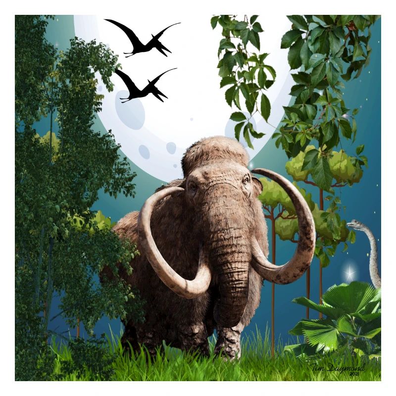 Moonlit Mammoth in Jungle Night