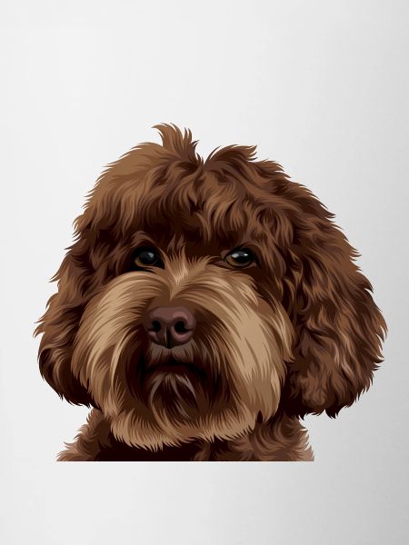Schnoodle Doodle Dog
