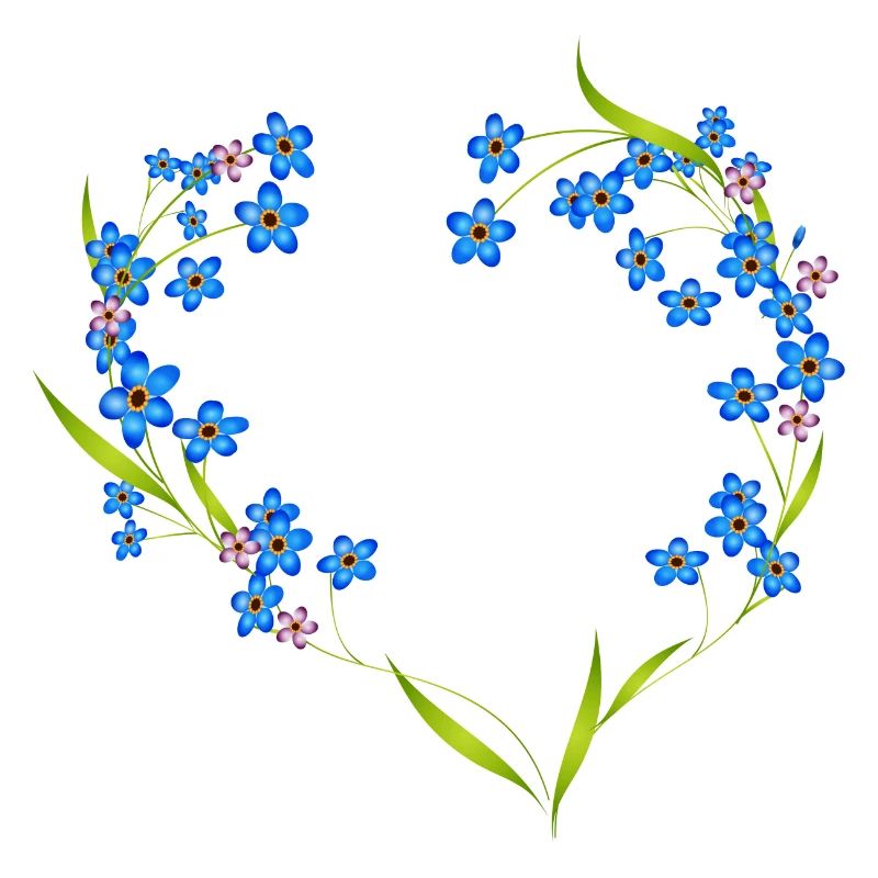 delicate forget-me-not frame in heart shape