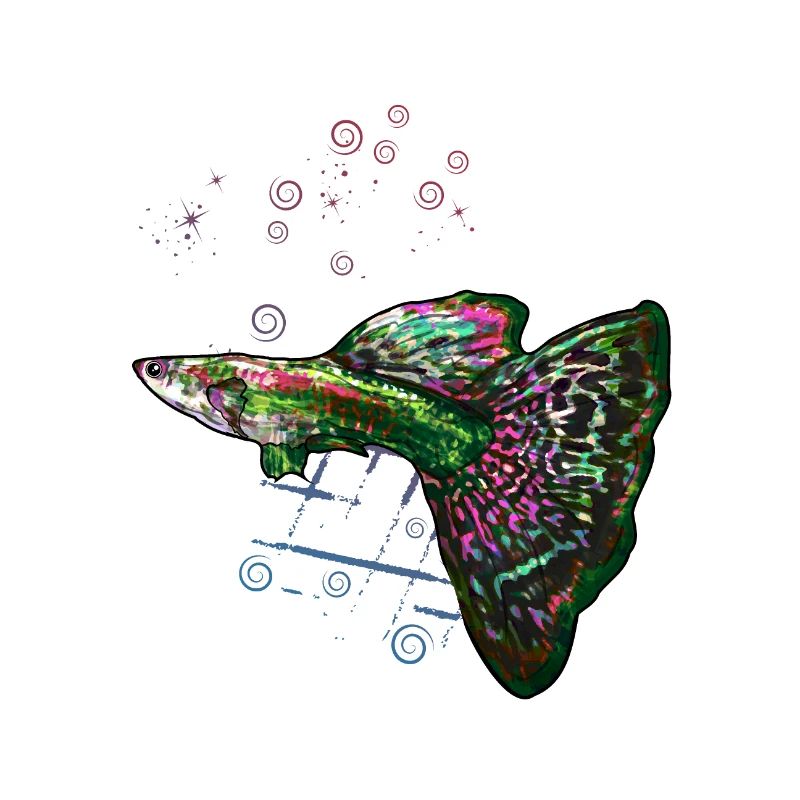 Guppy Beginner Fish Aquarium Fun
