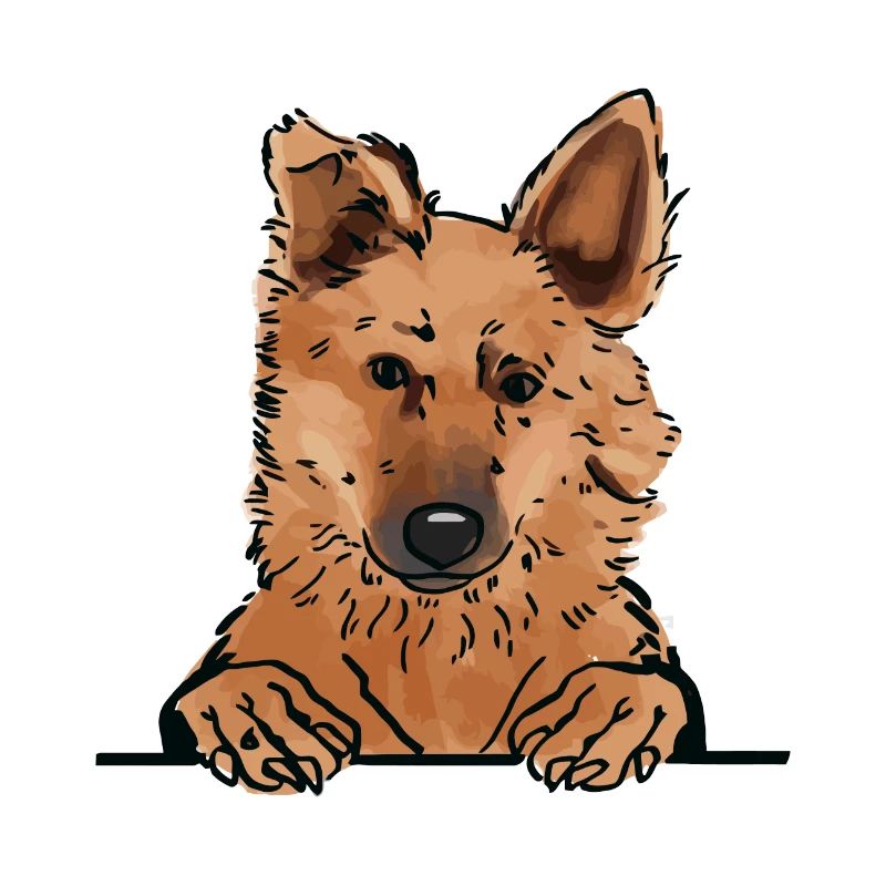 Basque Shepherd Dog for Peeking Dog Lovers