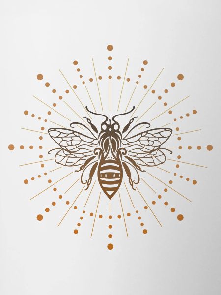 Bee honey bee with sun