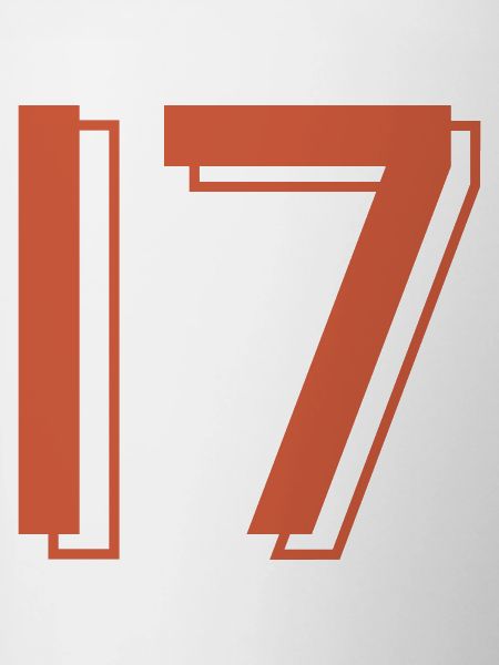 Trikotnummer 17