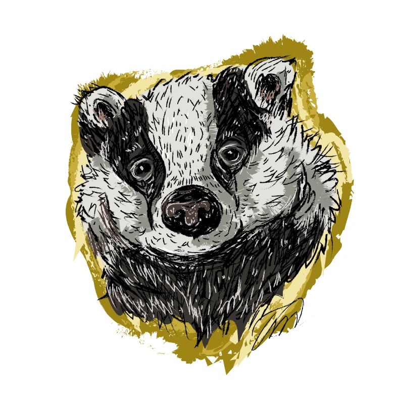 The Badger