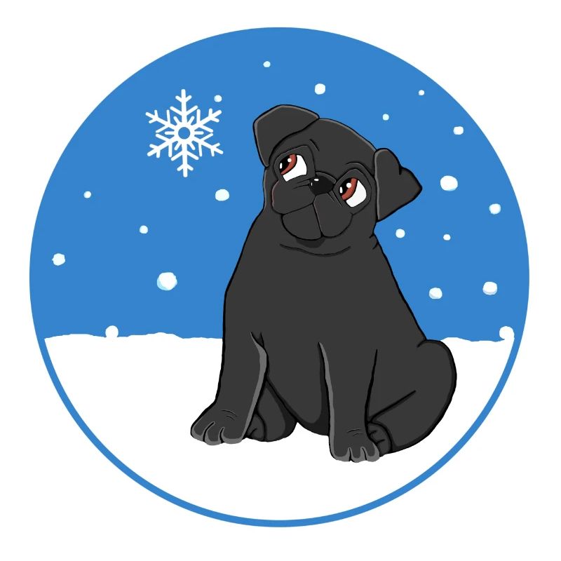Black Pug in the Snow