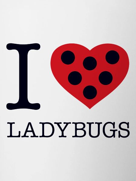 I LOVE LADYBUGS