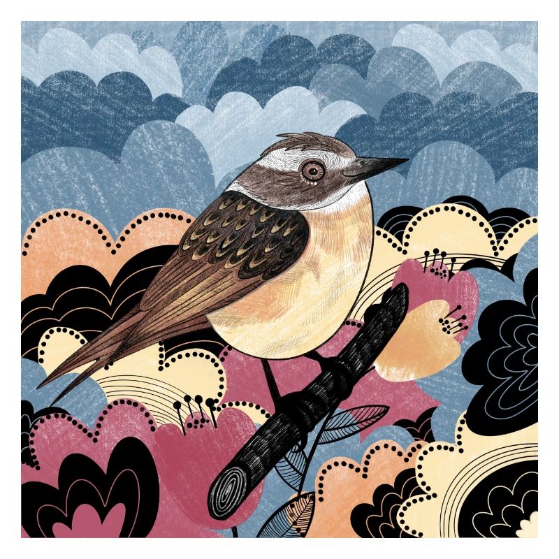 Braunkehlchen Vogel 2023 Illustration