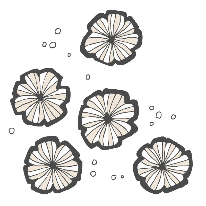 Fleurs romantiques - Shabby Chic