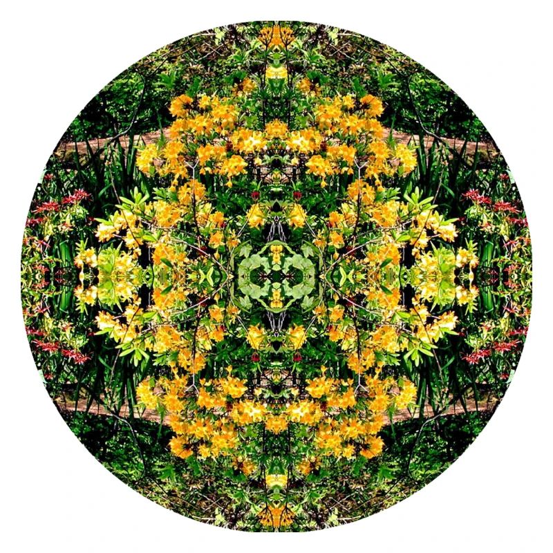 Nature Mandala Spring in Dennenlohe